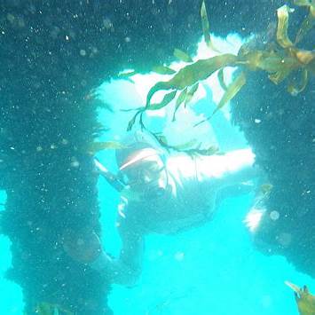 Cruise Sundowner - Lady Livingstone